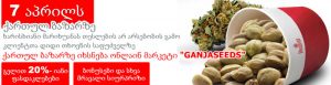 Теперь GanjaSeeds и в Грузии!