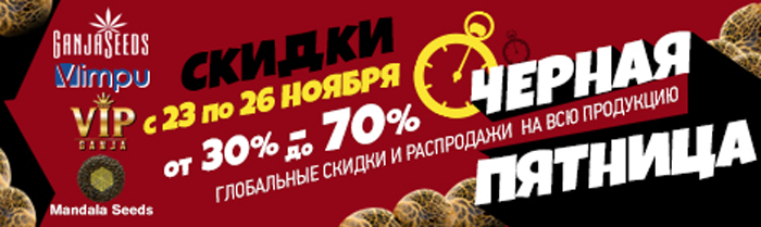 Купить семена конопли