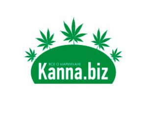 Kanna.biz - все о выращивании конопли и не только
