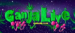 Конкурс «GanjaLive Cup 2019 - Indoor»