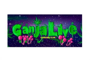 Конкурс «Ganjalive Cup 2019 - Outdoor»