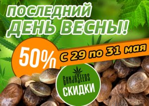 Завершаем весну пополнением запасов семян с GanjaSeeds