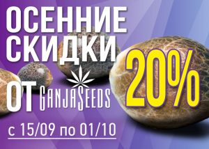 Семена конопли по скидкам
