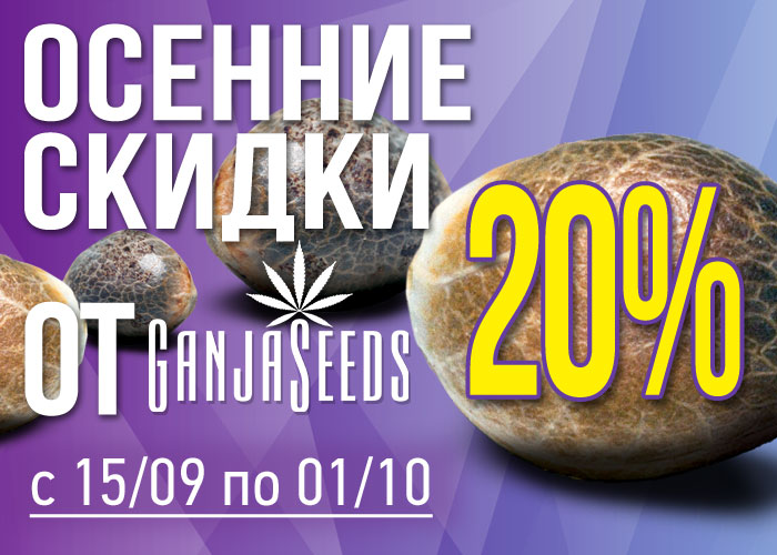 Семена конопли по скидкам