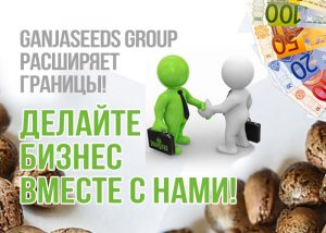 Выгодное партнерство с GanjaSeedsGroup