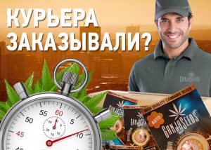 заказать семена конопли курьером