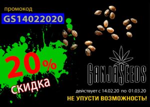 GanjaSeeds: В день всех влюбленных скидка 20%