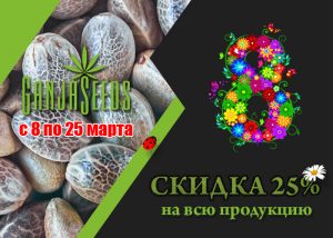Весенние скидки на семена конопли 25%