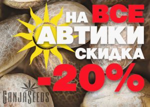 20% скидки на все автоцветы!