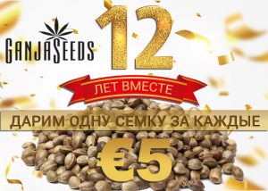 Бесплатные семки GanjaSeeds ко дню рождения!