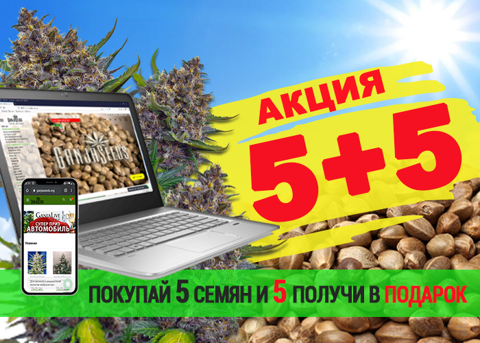 GanjaSeeds раздает бесплатные семена конопли!