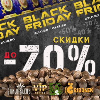 Black Friday сразу в трех интернет-магазинах семян конопли!