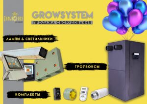 Гроушоп «GanjaSeeds» - место ваших полезных покупок