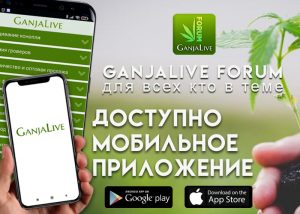 Приложение GanjaLive