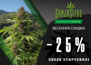 GanjaSeeds, GanjaVIP и Gribo4ek открывают сезон скидок!