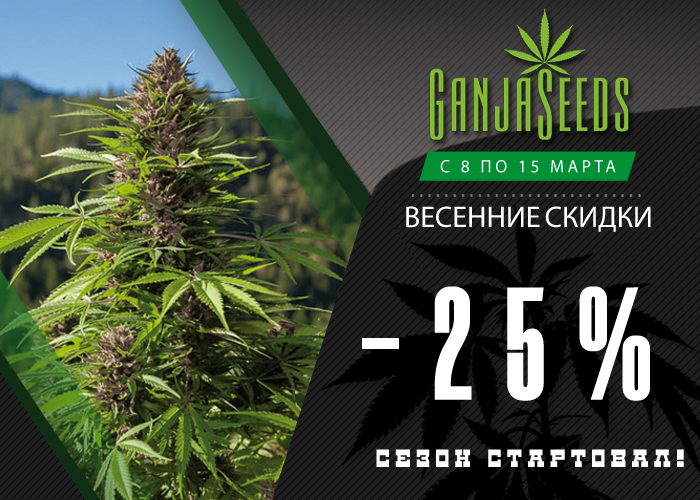 GanjaSeeds, GanjaVIP и Gribo4ek открывают сезон скидок!