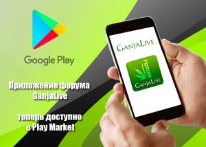 Скачайте приложение форума GanjaLive в Google Play и сделайте общение комфортнее