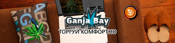 Место, где безопасно торговать оборудованием для выращивания конопли