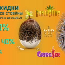 Большая пасхальная скидка от GanjaSeeds уже ваша