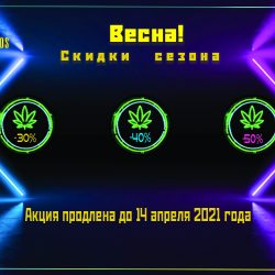 Акция апреля от GanjaSeeds продлена еще не неделю!