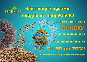 Скидки на семена конопли