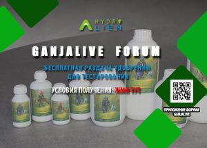 Бесплатные удобрения для конопли на форуме GanjaLive!