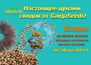 Россия: Автоцветы, споровые отпечатки и семена кактусов по скидкам до 50% - налетай!