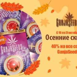 Октябрьская жара от GanjaSeeds: скидка 40 % на все сорта!