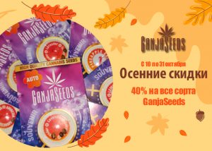 Октябрьская жара от GanjaSeeds: скидка 40 % на все сорта!