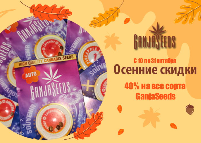 Октябрьская жара от GanjaSeeds: скидка 40 % на все сорта!