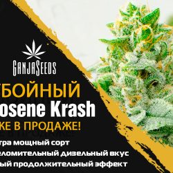 Легендарный Kerosene Krash по доступной цене!