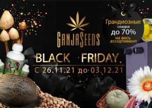 Черная Пятница в GanjaSeeds: невероятные скидки на весь ассортимент!