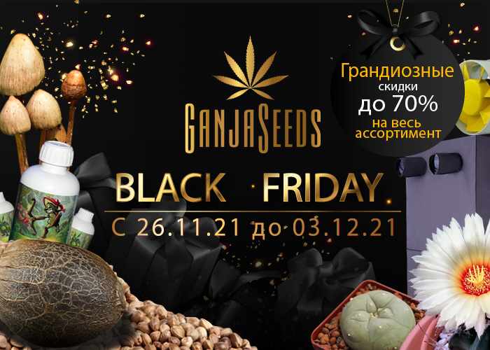 Черная Пятница в GanjaSeeds: невероятные скидки на весь ассортимент!