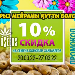 BangSeeds: НАУРЫЗ МЕЙРАМЫ ҚҰТТЫ БОЛСЫН!