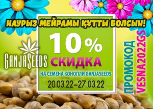 BangSeeds: НАУРЫЗ МЕЙРАМЫ ҚҰТТЫ БОЛСЫН!