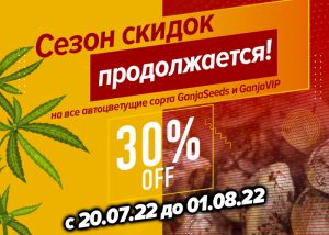 Скидка 30% на автоцветущие сорта до конца июля!