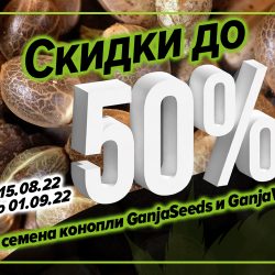 Закрытие летнего сезона! Скидки до 50%!