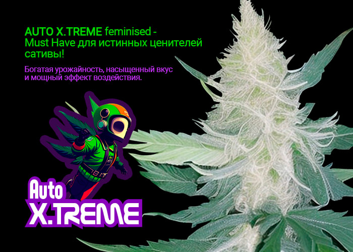 Auto X.Treme feminised