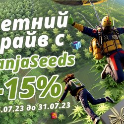 Летний вайб с GanjaSeeds