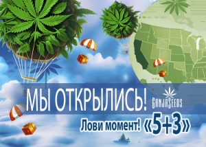 Сидшоп GanjaSeeds теперь в США!