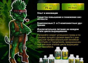 Искусство в выращивании, сила в AlienHydro!