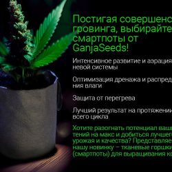 Постигая совершенство гровинга, выбирайте смартпоты от GanjaSeeds!