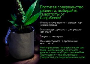 Постигая совершенство гровинга, выбирайте смартпоты от GanjaSeeds!