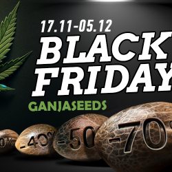 Черная пятница с GanjaSeeds в самом разгаре!