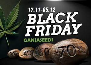 Черная пятница с GanjaSeeds в самом разгаре!