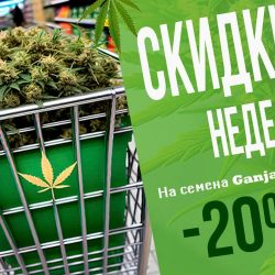 ТОП 10 Зима 2024. Неделя скидок от GanjaSeeds!