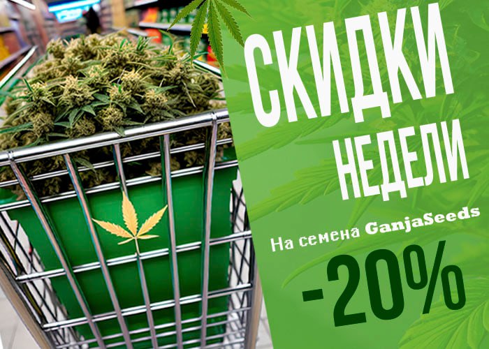 ТОП 10 Зима 2024. Неделя скидок от GanjaSeeds!