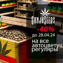 Скидки недели! - 40% на автоцветущие регуляры!