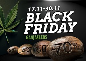 ЧЕРНАЯ ПЯТНИЦА 2025 — скидки до 70%!